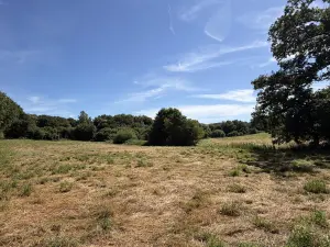image de bien