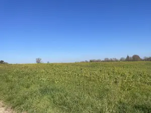 image de bien
