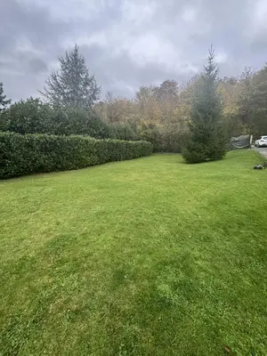 image de bien