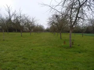 image de bien
