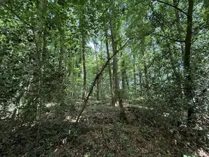 image de bien