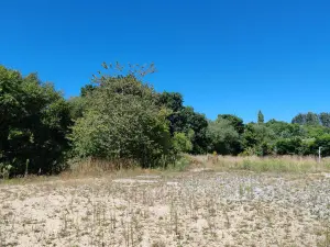 image de bien