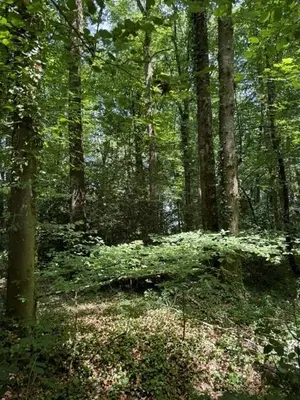 image de bien