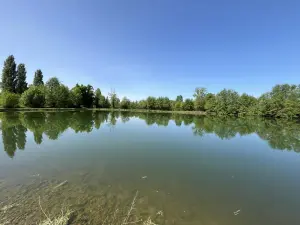 image de bien