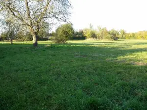 image de bien