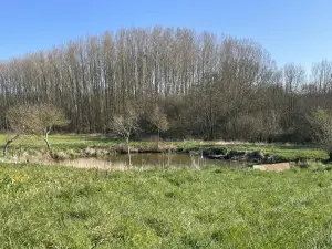 image de bien