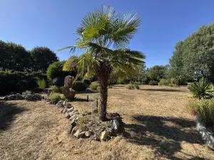 image de bien