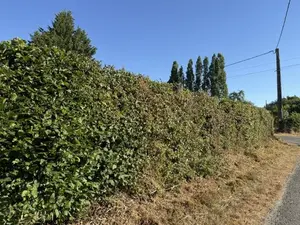 image de bien