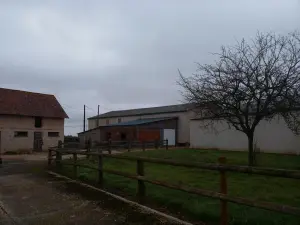 image de bien