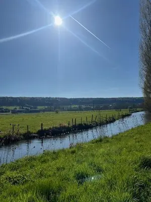 image de bien