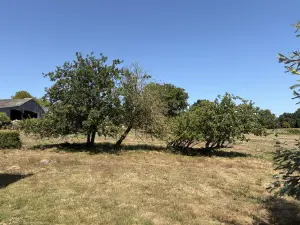 image de bien