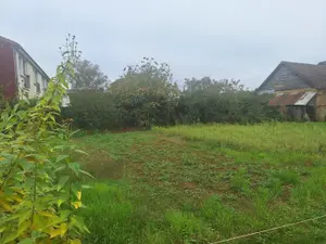image de bien
