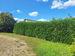 image de bien