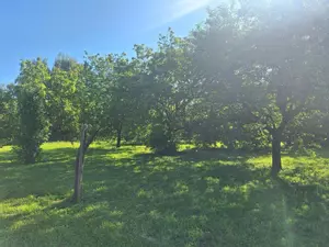 image de bien