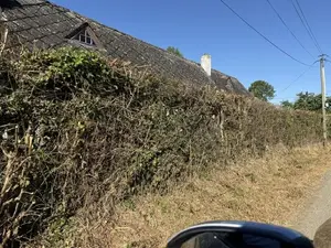 image de bien