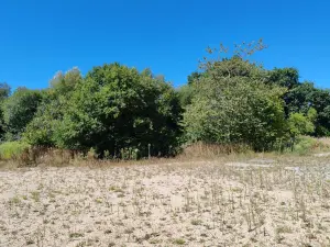 image de bien