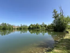 image de bien