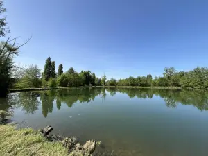 image de bien