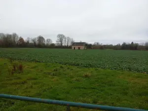 image de bien