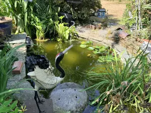 image de bien