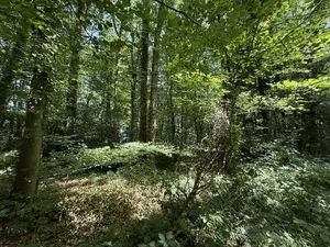 image de bien