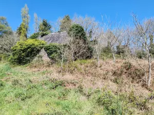 image de bien