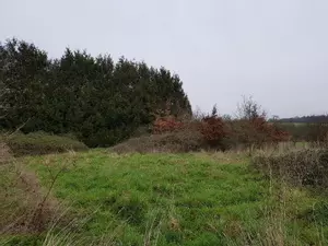 image de bien