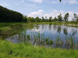 image de bien