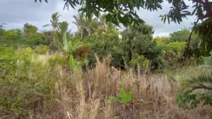 Maison - 97470 Saint-Benoît