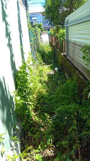 Maison - 97470 Saint-Benoît