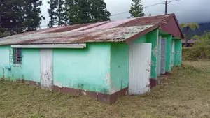 Maison - 97431 La Plaine-des-Palmistes