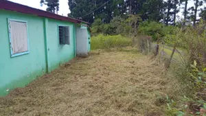 Maison - 97431 La Plaine-des-Palmistes