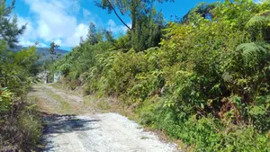 Terrain à bâtir - 97431 La Plaine-des-Palmistes