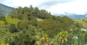 Terrain à bâtir - 97433 Salazie