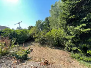 image de bien