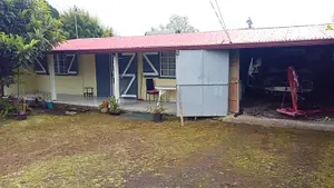 Maison - 97431 La Plaine-des-Palmistes