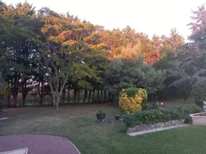 image de bien
