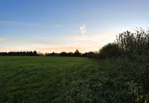 image de bien