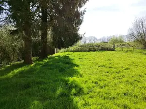 image de bien