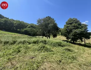image de bien