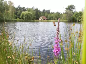 image de bien