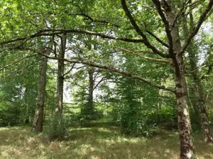 image de bien