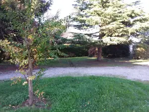 image de bien
