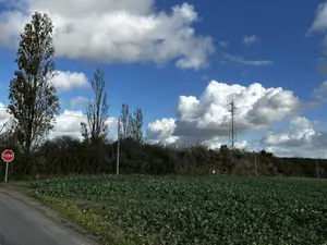 Terrain de loisirs - bois - Etang - 45320 Courtenay