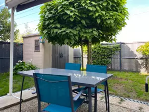 image de bien