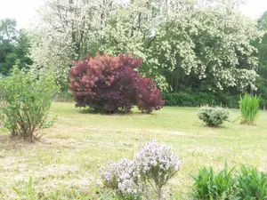 image de bien