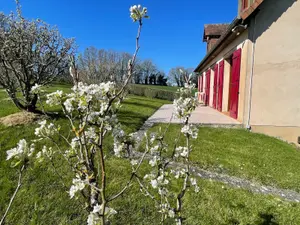 image de bien