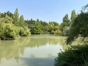 image de bien