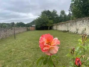 image de bien