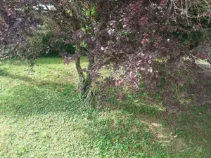 image de bien